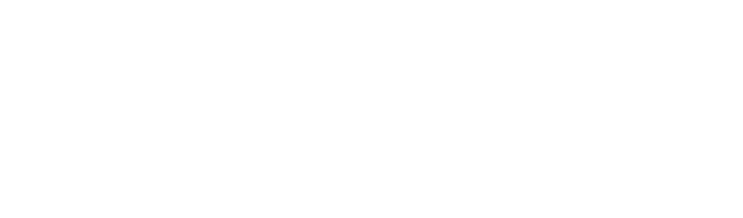 Web Hunter